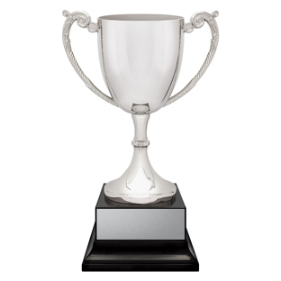 Provenance Cup