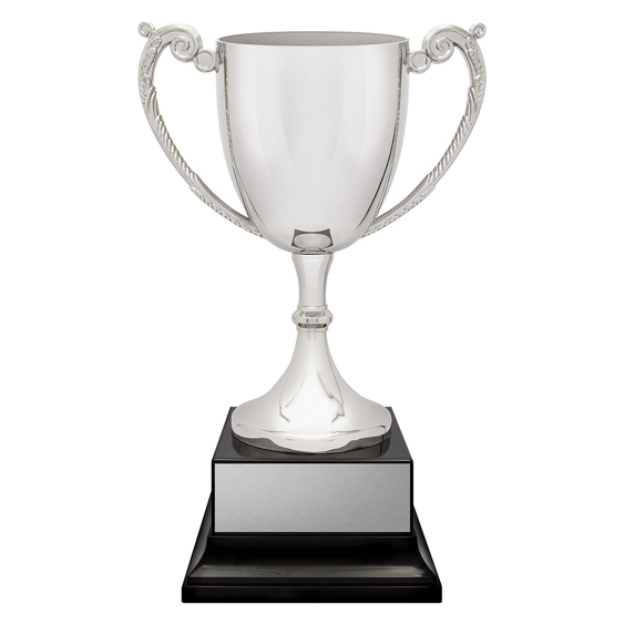 Provenance Cup!