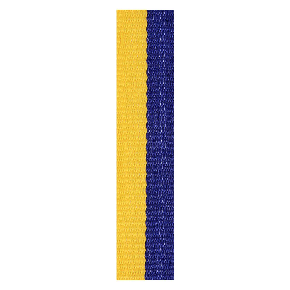 Blue / Gold Loop Rib