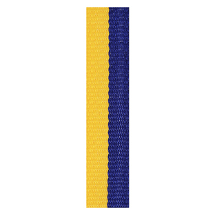 Blue / Gold Loop Ribbon