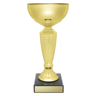 Geneva Cup!