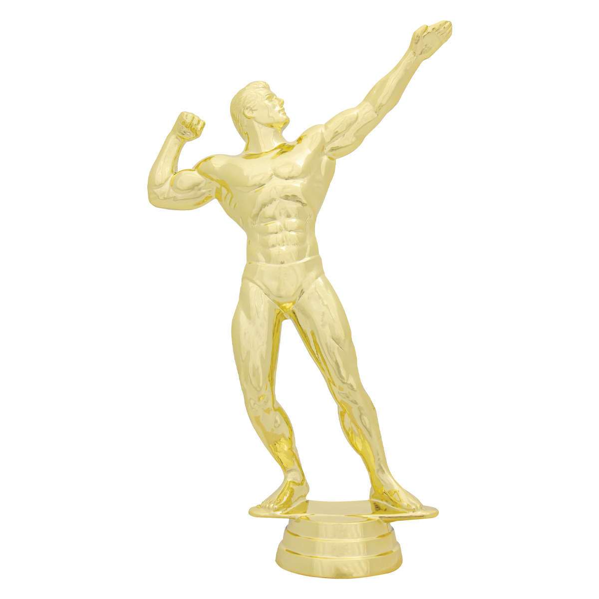 Male Bodybuilder