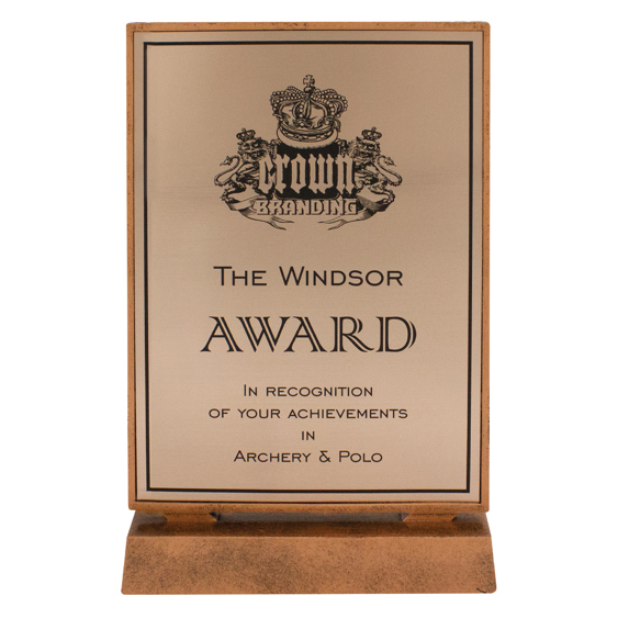 Billboard Bronze Xtra Plaque!