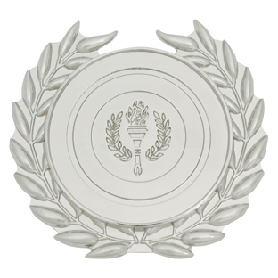 Silver Target Trim