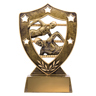 Swim Gold Shield!