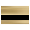 FlexiBrass Mirror Trophy Gold