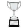 Ultimate Silver Cup