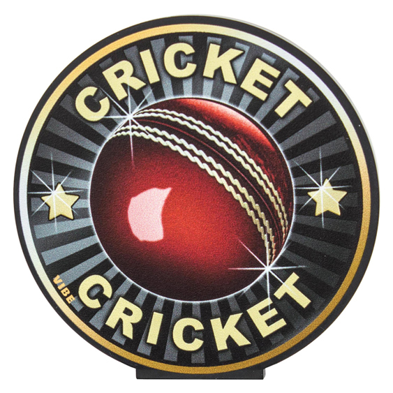 Cricket Vibe!