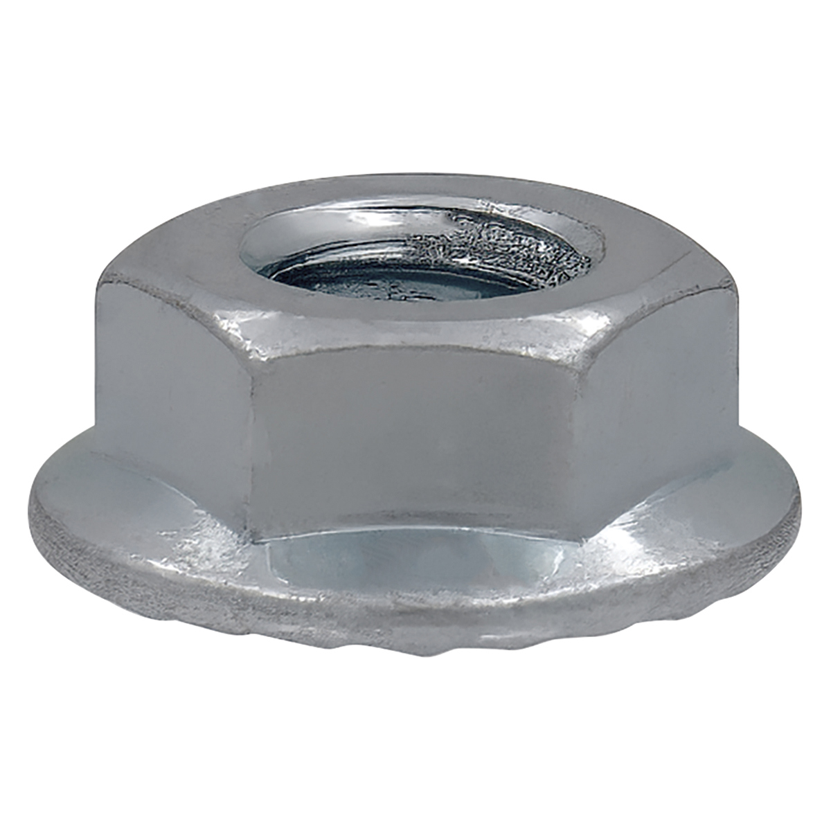 Flange Hex Nut / 100