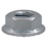 Flange Hex Nut / 100