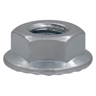 Flange Hex Nut / 100