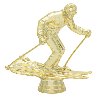 Recreation Skier