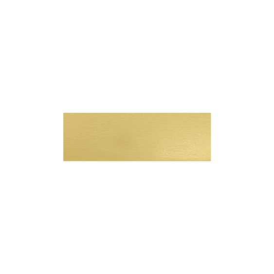 Trophy Plate - 46x15mm!