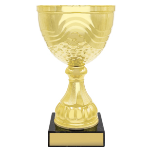 Community Cup