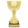 Community Cup