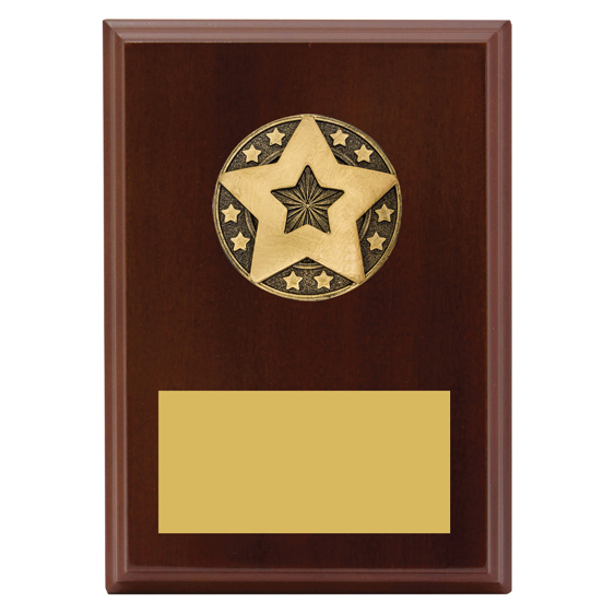 Star Award Plaque!