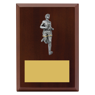 Peak Plaque - Male