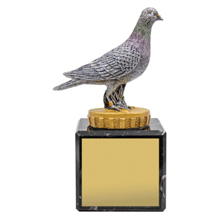 Pigeon Marble