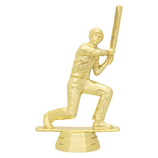Indoor Cricket