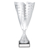 Fiore Cup!