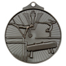 Gymnastics Medal!