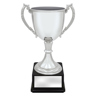 Ultimate Silver Cup!