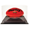 Acrylic Case - Oval Ball