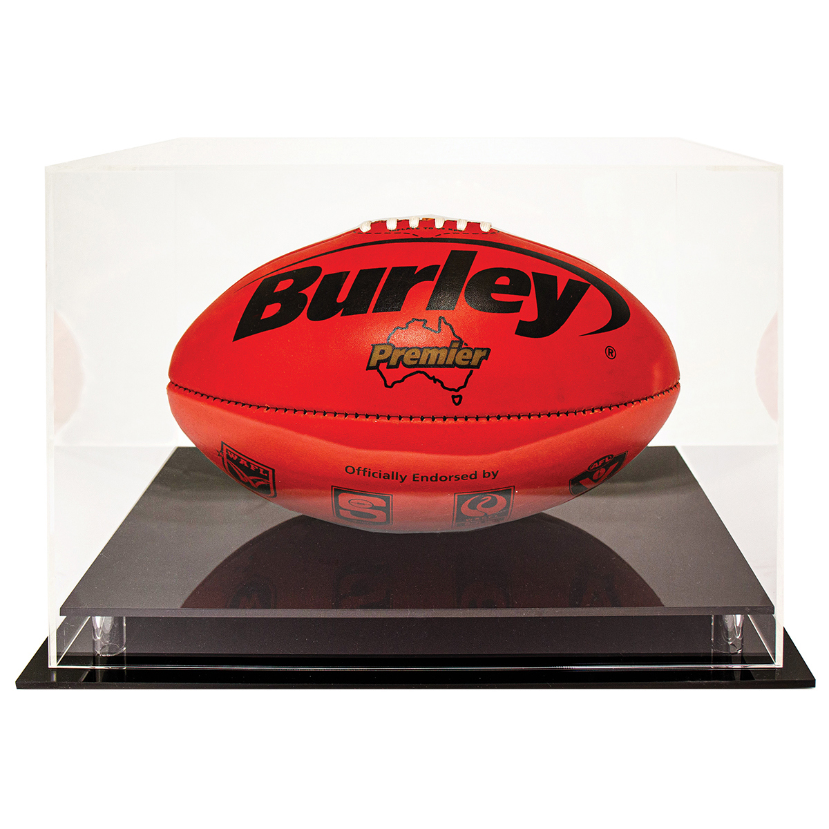 Acrylic Case - Oval Ball
