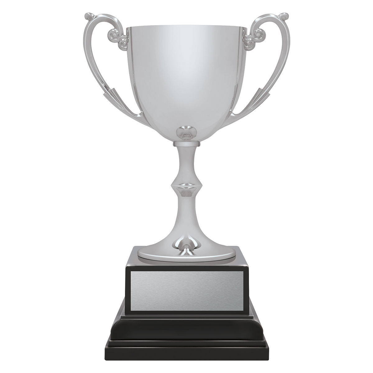 Ace Recognition Silver