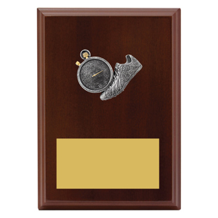 Peak Plaque Track