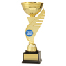 Falcon Cup