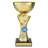 Wayfinder Cups - Gold!