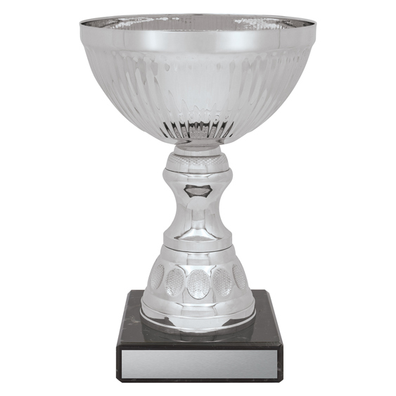Reverie Cup - Silver!