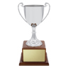 Classic Silver Cup!