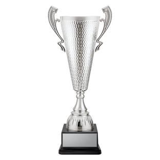 Sentinel Cup