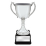 Ultimate Silver Cup!
