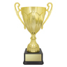 Rubicon Gold Cup!
