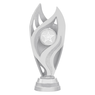 Vision Cup - Silver