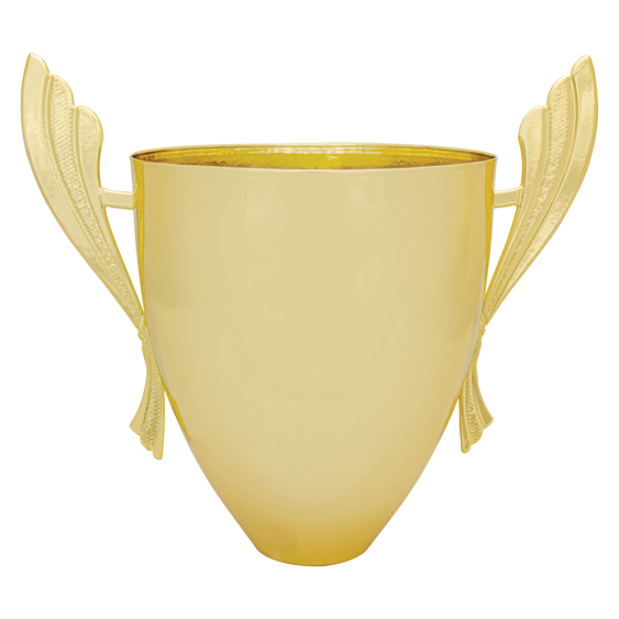 Ironside Cup Gold!