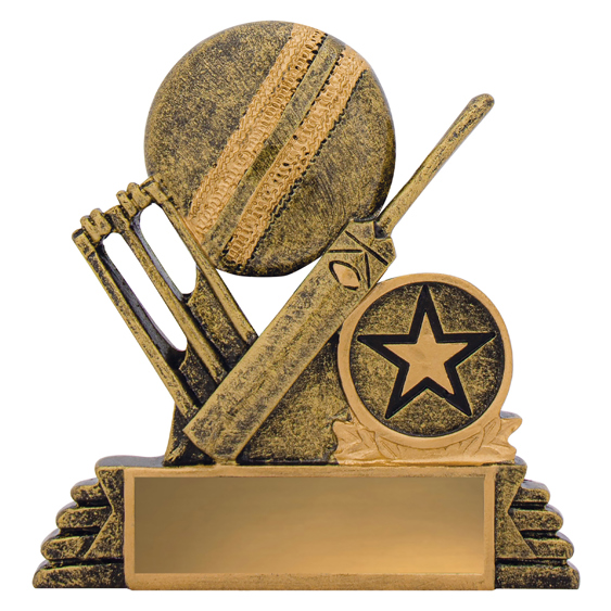 Cricket Budget Icon!