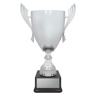 Ironside Cup - Silver!