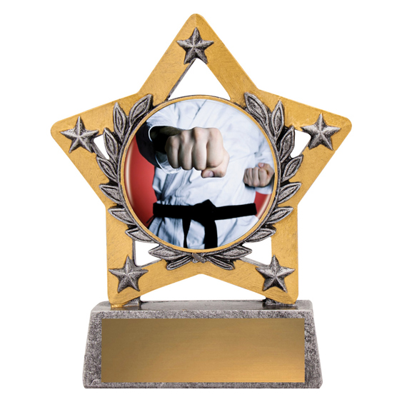 Mini Star Colour - Martial Arts!
