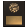 Challenge Plaque - Pistol