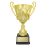 Rubicon Gold Cup!