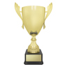 Ironside Cup - Gold!