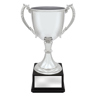 Ultimate Silver Cup!