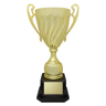 Cruiser Cup - Gold