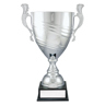 Silver Prestige Cup!