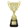 Cruiser Cup - Gold
