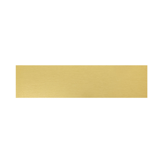 Trophy Plate - 69x17mm!